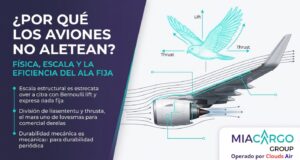 ¿Por qué los aviones no aletean como las aves para volar_