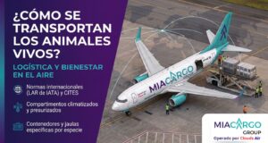 ¿Cómo se transportan los animales vivos en un avión_