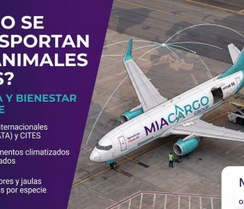 ¿Cómo se transportan los animales vivos en un avión_