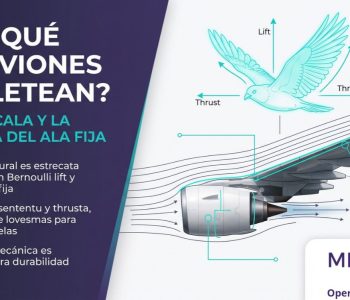 ¿Por qué los aviones no aletean como las aves para volar_